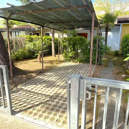 In 54672 * 比比翁